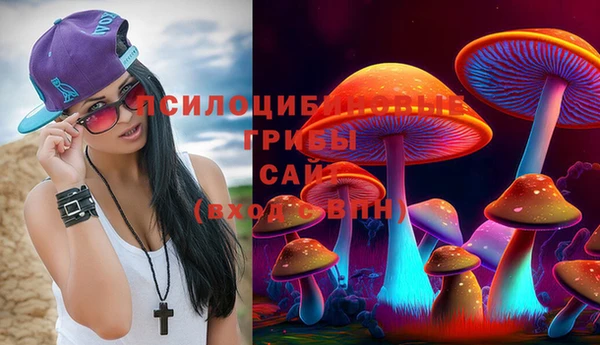 прущая мука Кулебаки
