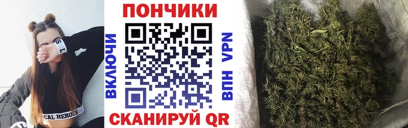 Канабис сатива  Южно-Сухокумск 